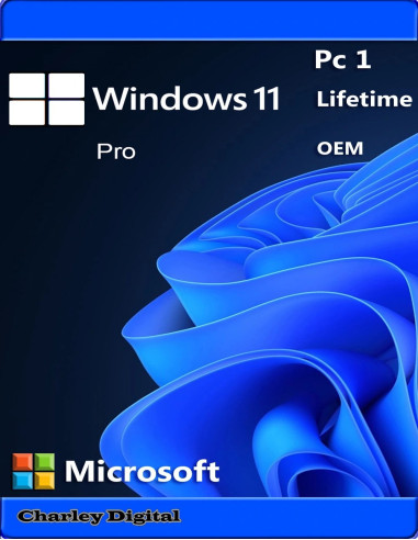 Microsoft Windows 11 Pro OEM 1 PC Licencia de por vida