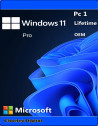 Microsoft Windows 11 Pro Oem 1 Pc 1 Key Licenza Esd a Vita
