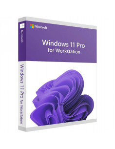 Microsoft Windows 11 Pro for Workstations 1 Pc Una Licenza A vita