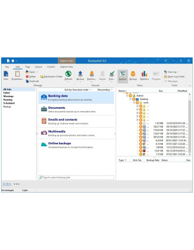 Backup4all Lite 3 PC Una Licenza 1 anno